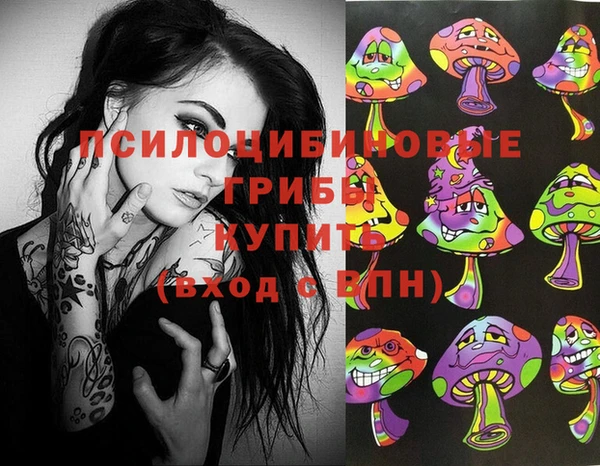 тгк Канск