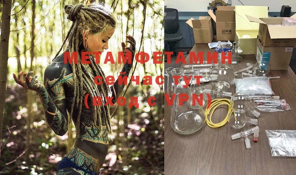 ПСИЛОЦИБИНОВЫЕ ГРИБЫ Магас