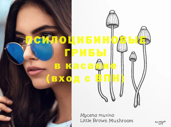 ешки Липки